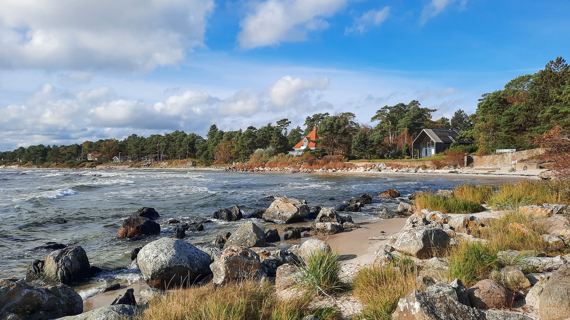 A beach with rocks and grass on the shore.