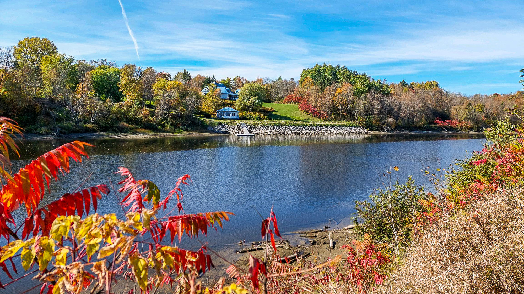 Ett vattendrag omgiven av träd och gräs.